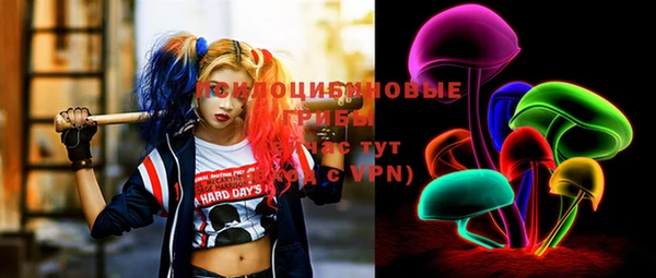 дживик Приозерск