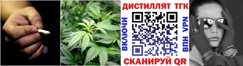 Купить  Магнитогорск  ТГК гашишное масло 